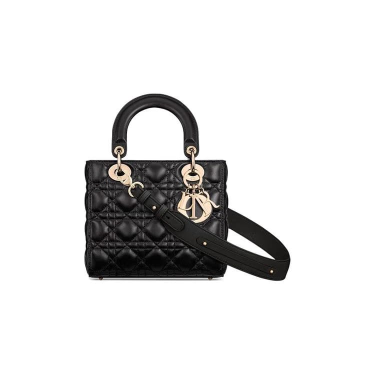 Dior The Lady Dior My ABCDior Bag
