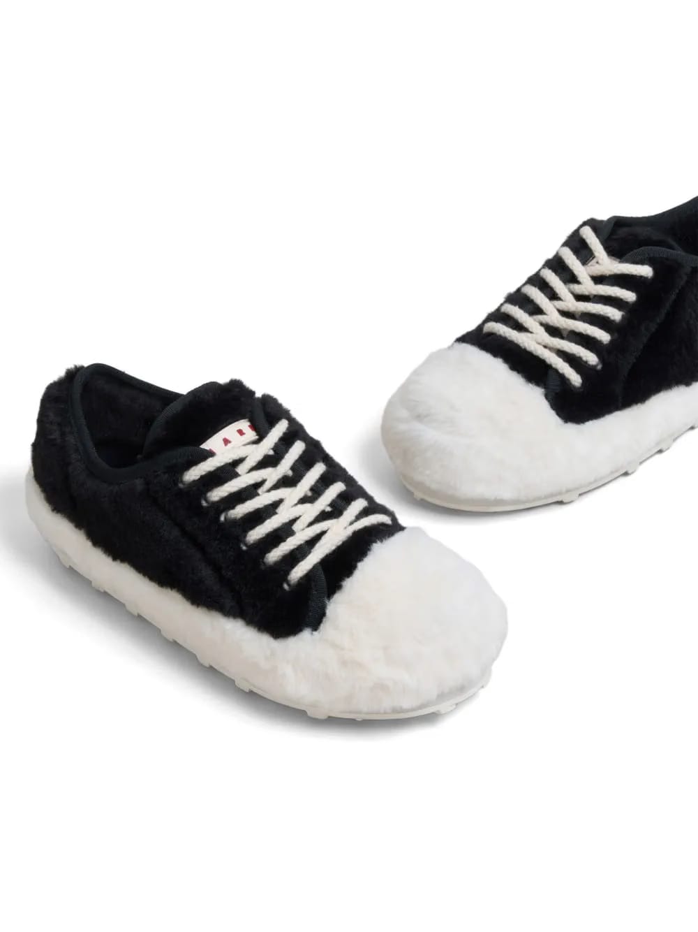 Teddy lace-up sneakers