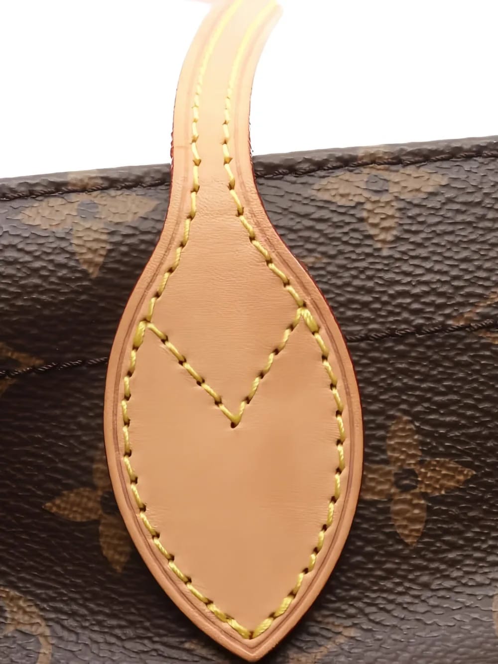 2020 Carry It monogram tote bag