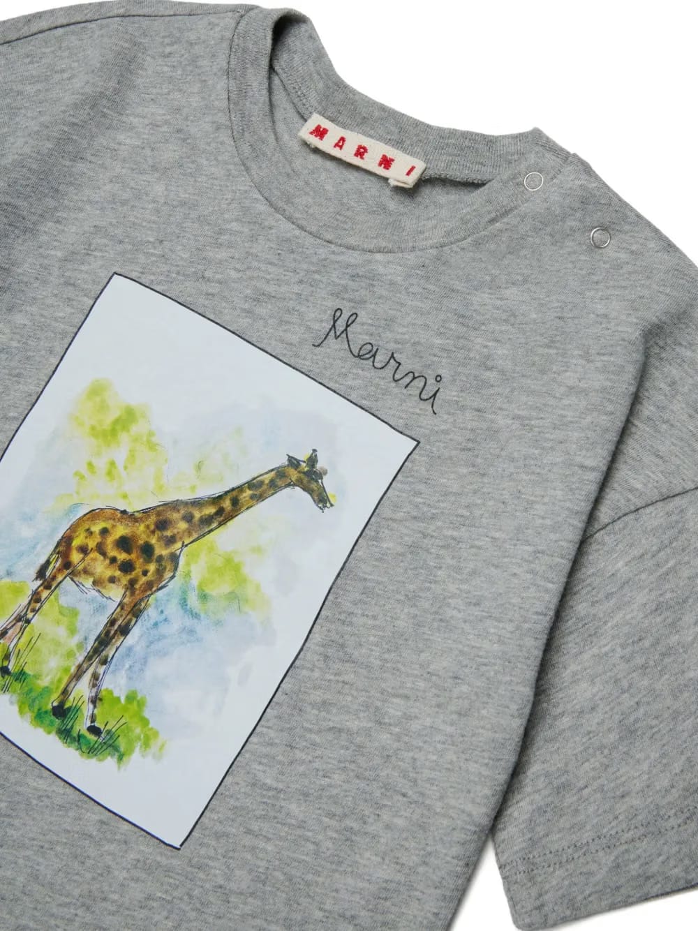 giraffe-graphic T-Shirt