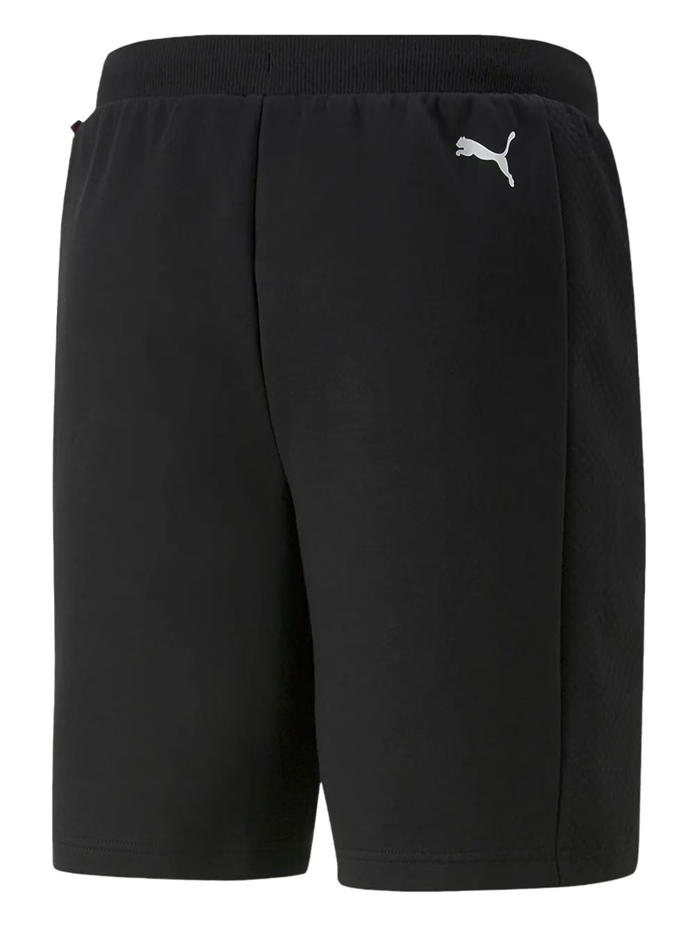 x BMW Motorsport shorts