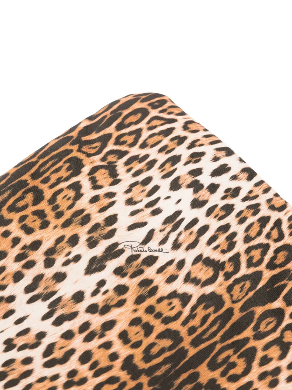 leopard-print baby blanket
