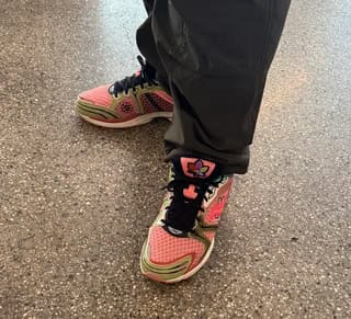 Saucony ProGrid Triumph 4 END. Nessie
