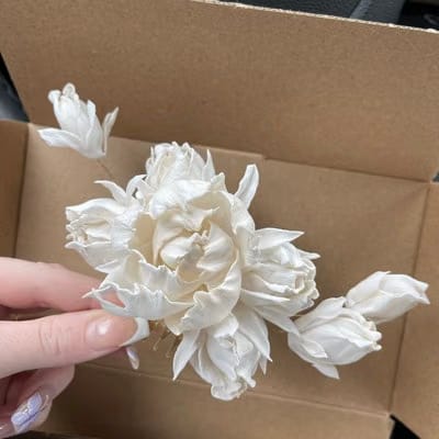 On Running Cloudsurfer Max Ivory Peony (W)