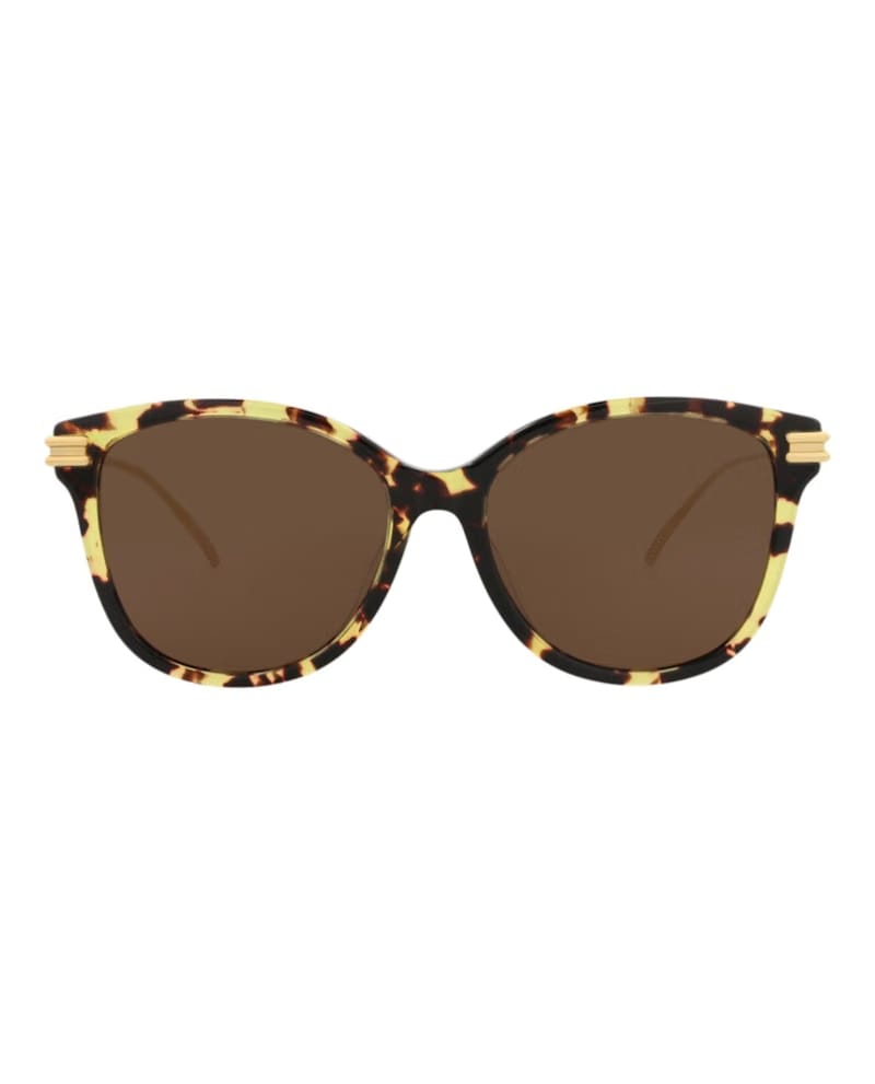 Bottega Veneta Round-Frame Acetate Sunglasses Havana Gold Brown (BV1048SA-30008554-002)
