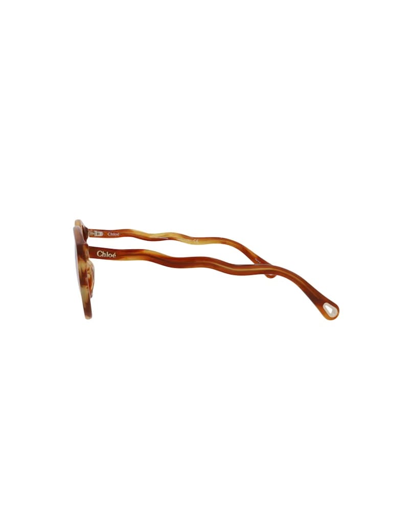 Chloe Cat Eye-Frame Bio Acetate Sunglasses Havana Havana Transparent (CH0089S-30013114-001)