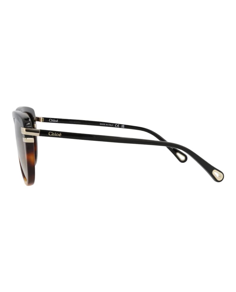 Chloe Square-Frame Recycled Acetate Sunglasses Black Black Brown (CH0203S-30014676-003)