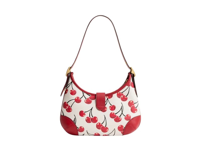 Coach Hamptons Hobo Bag Cherry Print Brass/Chalk Multi