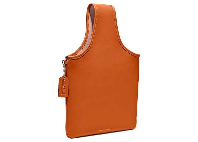 Coach Cashin Carry Sling Bag Canyon