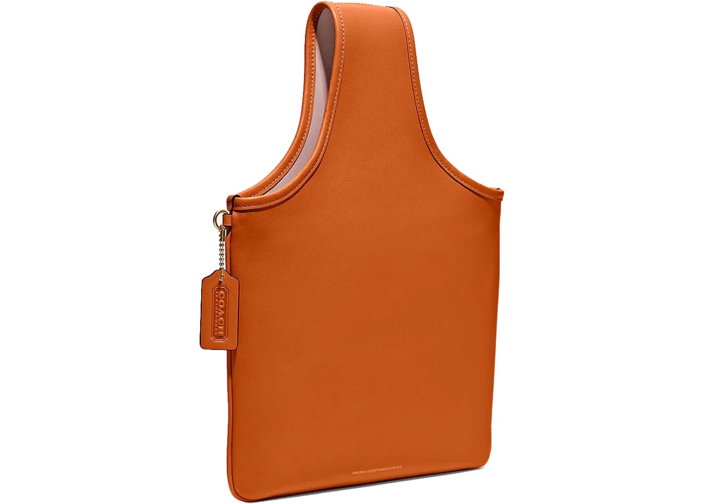 Coach Cashin Carry Sling Bag Canyon