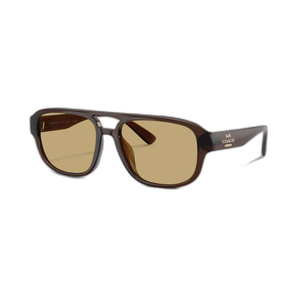 Coach Pilot Sunglasses Transparent Brown