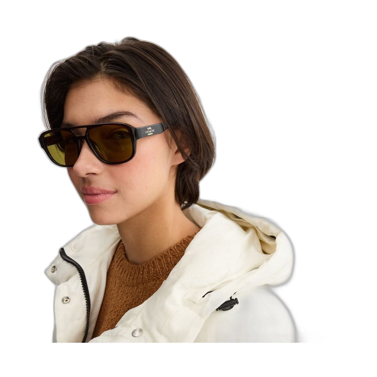Coach Pilot Sunglasses Transparent Brown
