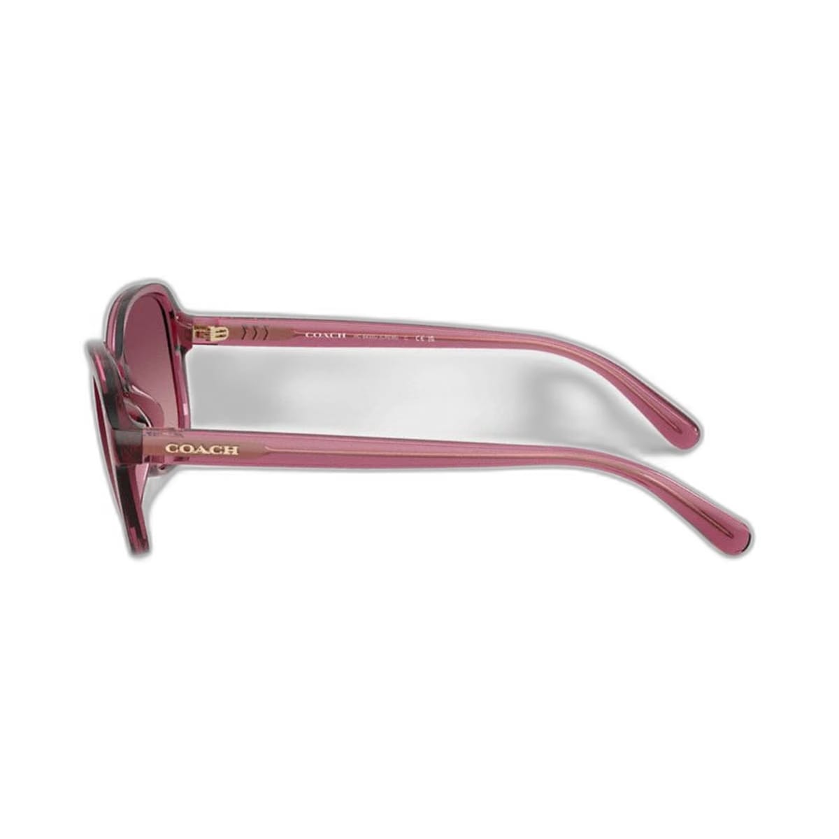 Coach Oversized Oval Sunglasses Berry
