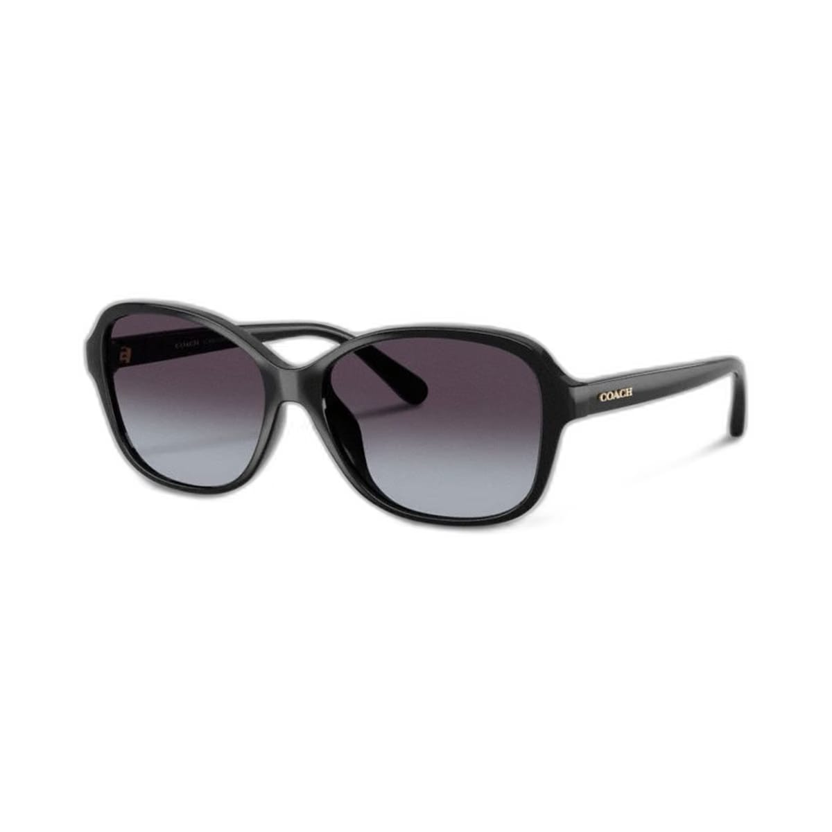 Coach Oversized Oval Sunglasses Black
