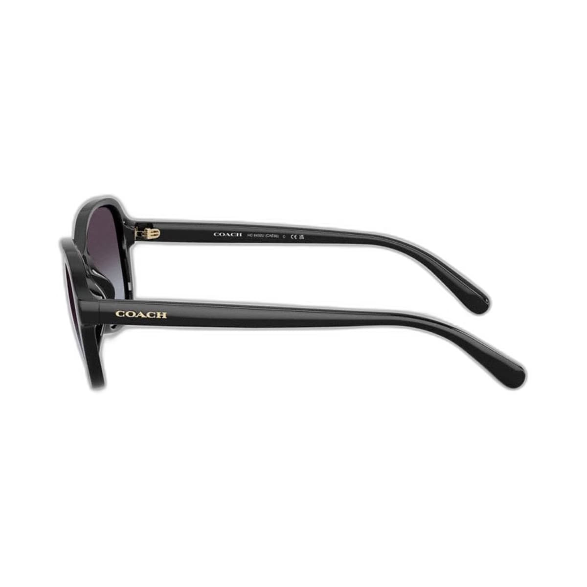 Coach Oversized Oval Sunglasses Black