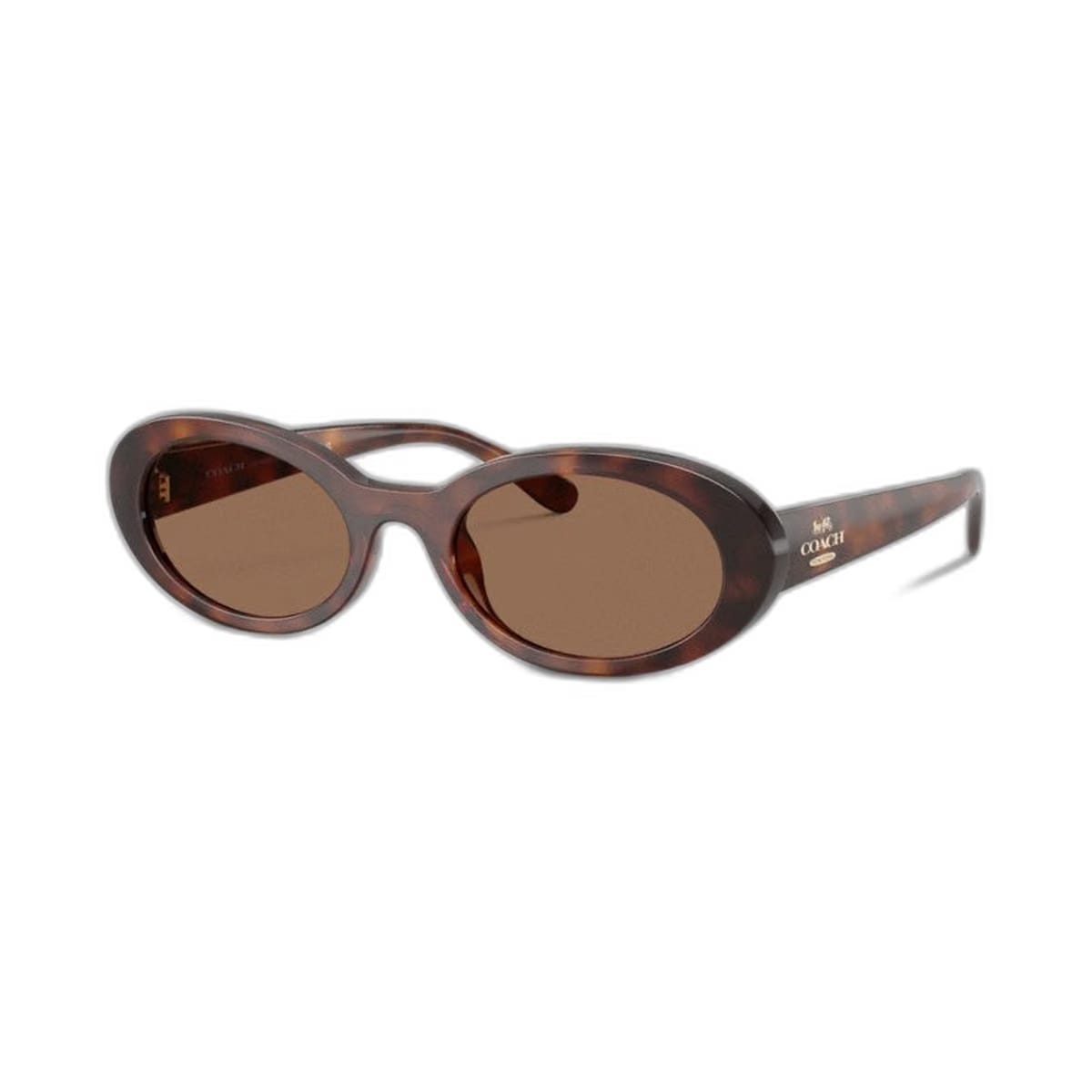 Coach Narrow Oval Sunglasses Dark Tortoise