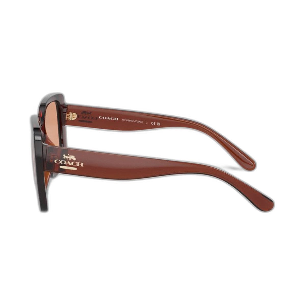 Coach Oversized Square Sunglasses Transparent Caramel