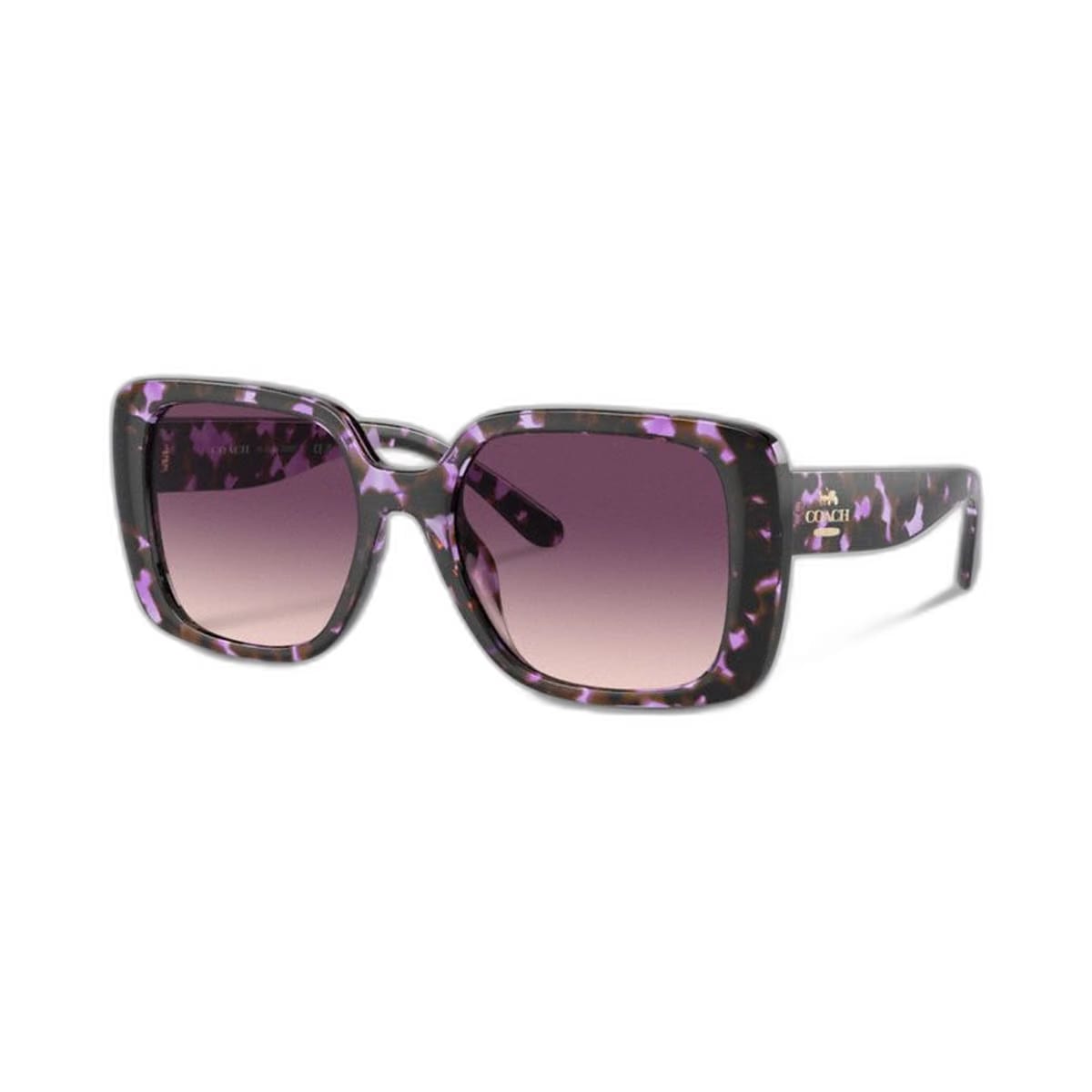 Coach Oversized Square Sunglasses Purple Tortoise