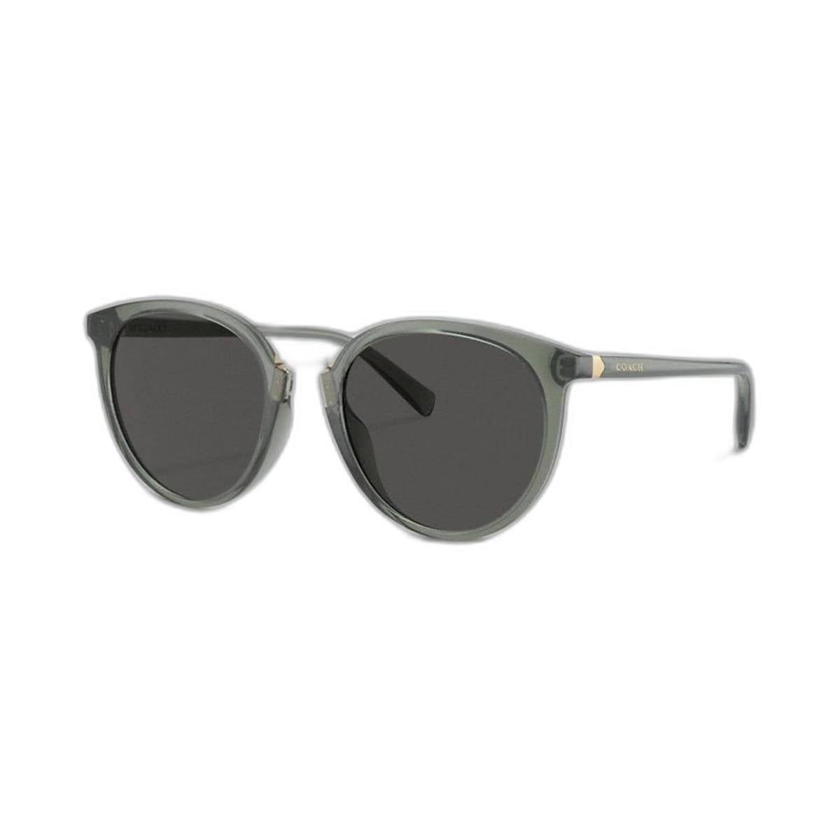 Coach Hangtag Round Sunglasses Transparent Green