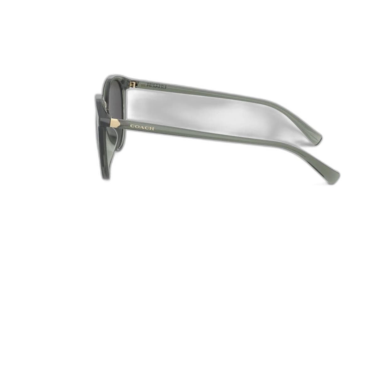 Coach Hangtag Round Sunglasses Transparent Green