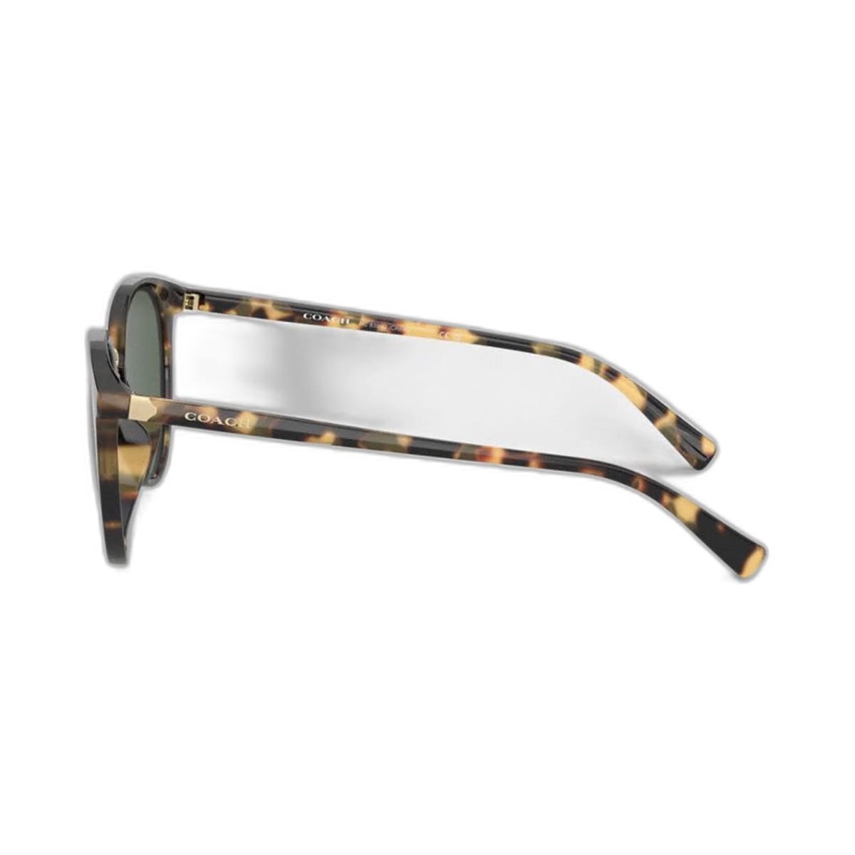 Coach Hangtag Round Sunglasses Tokyo Tortoise