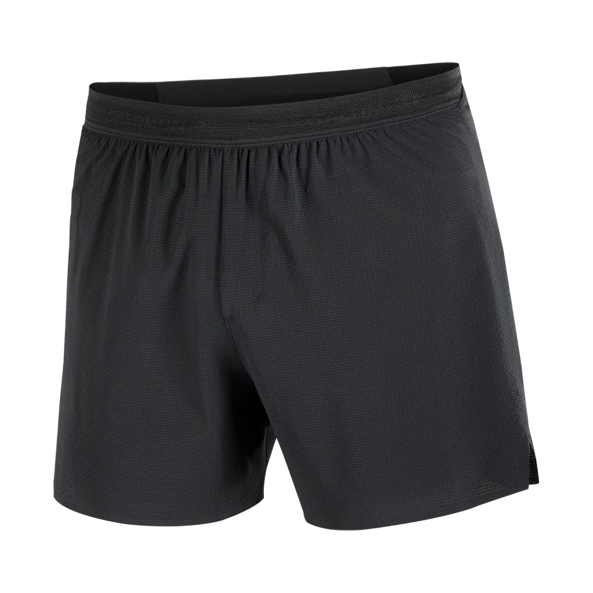 Salomon Sense Aero Stow 5" Shorts