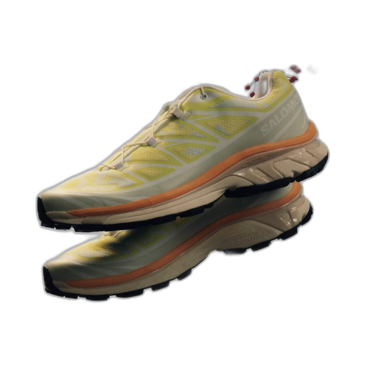 Salomon Xt-6 Alpen Blossom Sneakers Ice Flow