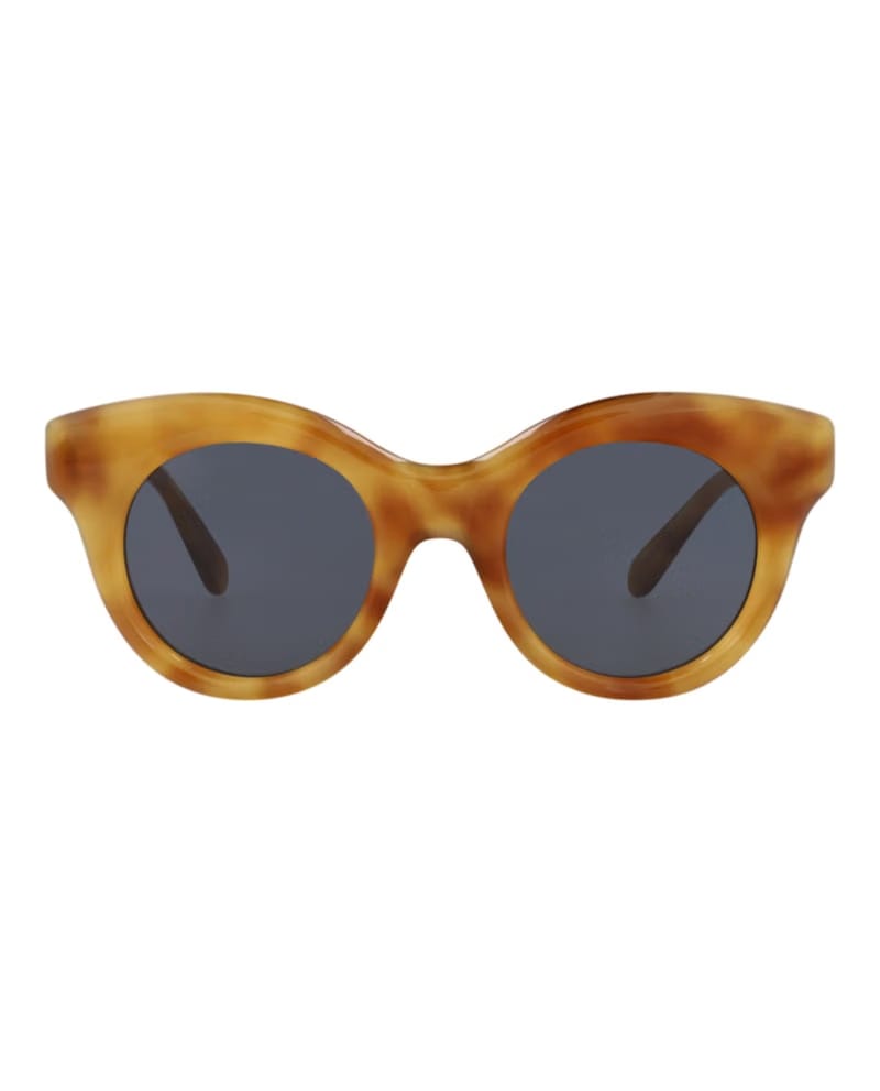 LOEWE Round Sunglasses Havana Havana Blue (LW40126I-49-53V)