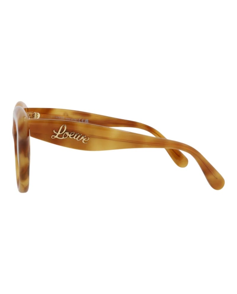 LOEWE Round Sunglasses Havana Havana Blue (LW40126I-49-53V)