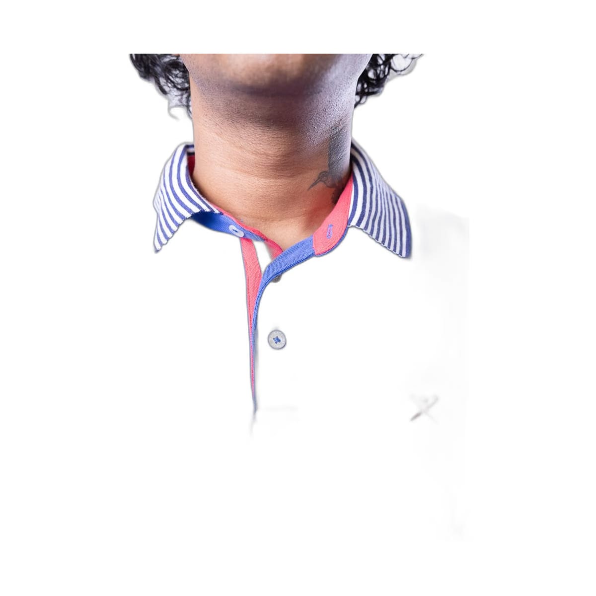 Hackett London Polo Blue Shirt With Striped Collar In Navy/White (L)
