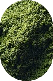 Blueprint Bryan Johnson Ceremonial Grade Matcha
