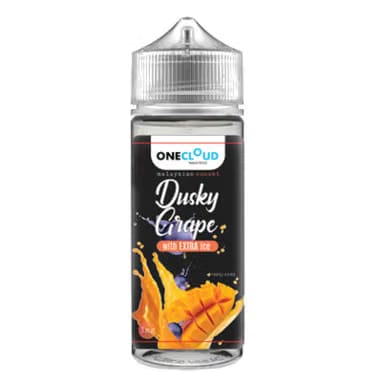 On Kids Cloud Sky Zinc Grape