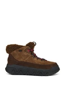 UGG TerreTrail Cozy Lace Dusted Cocoa WMNS