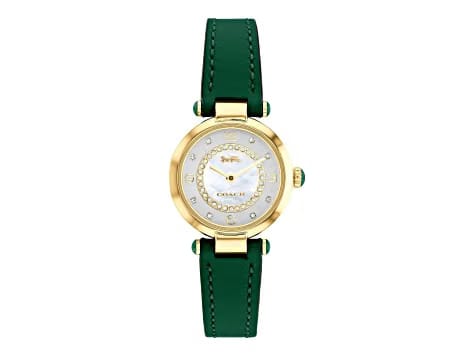 Omega Constellation 130.33.41.22.10.001 Globemaster Green Dial Green Leather Strap Watch