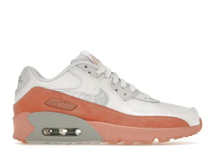 Nike Air Max 90 Leather Rainbow Salmon GS