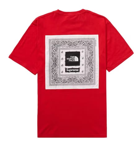 Supreme The North Face Bandana Dolomite Sleeping Bag Red