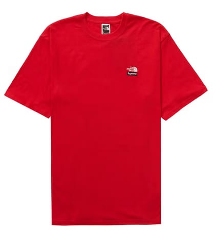 Supreme The North Face Bandana Dolomite Sleeping Bag Red