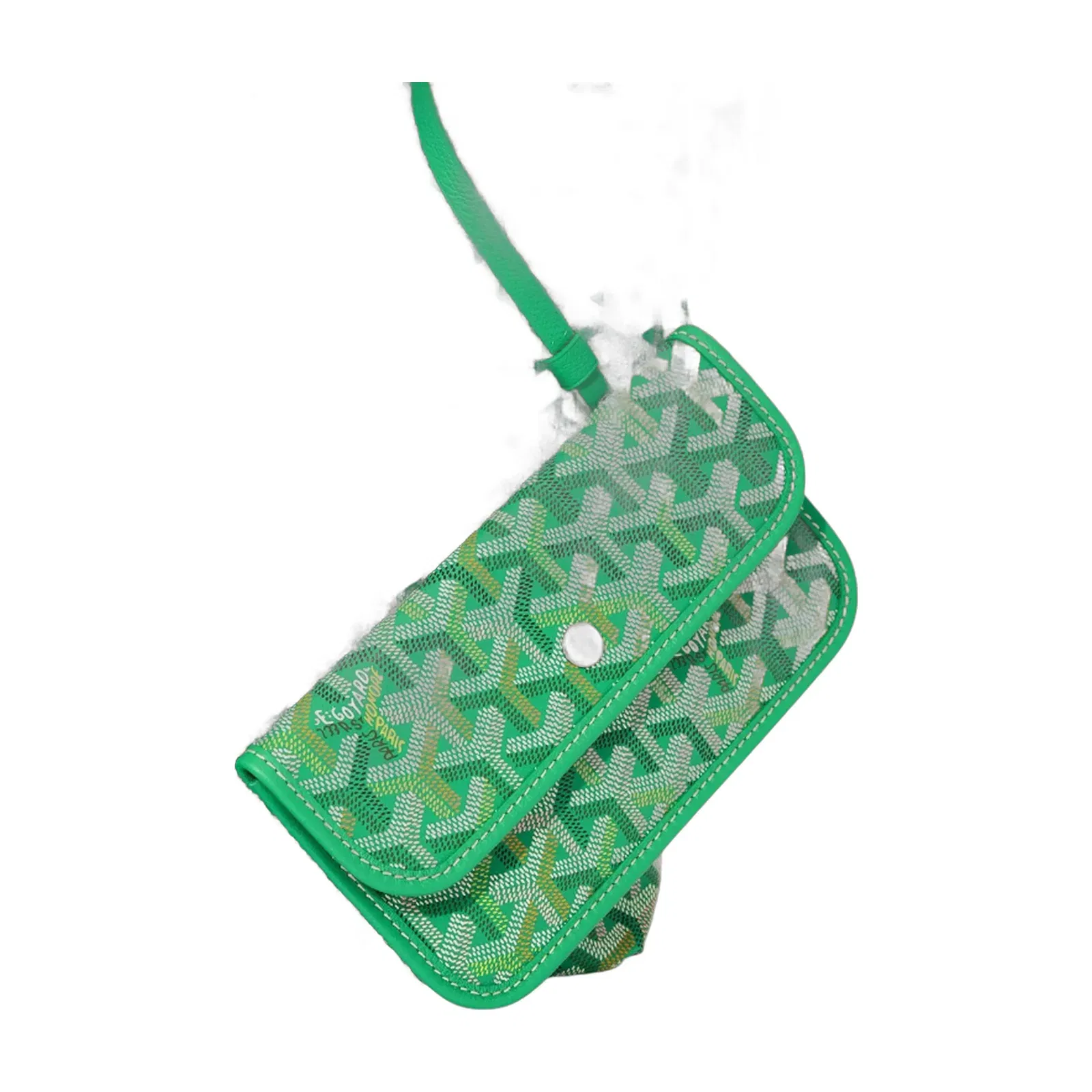 Goyard Saint Louis GM bag Multicoloured Meadow Green Limited Edition