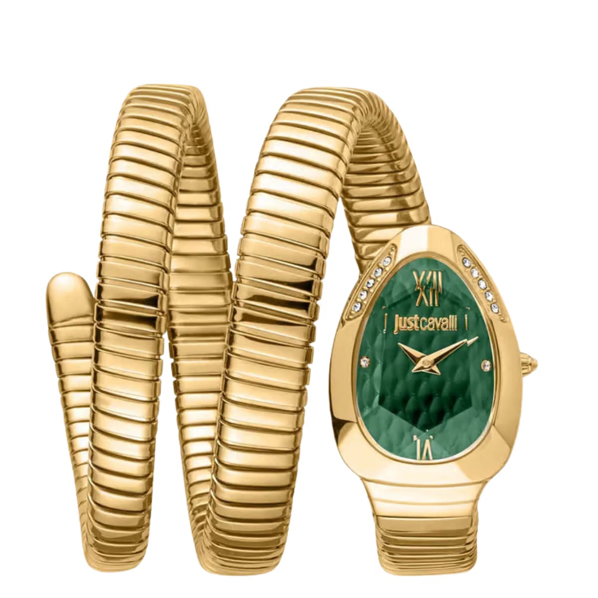Just Cavalli JC1L224M0045 Glam Evo 9 Family Watch For Women