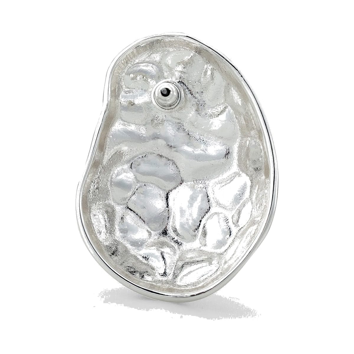 Evanna Earrings Silver