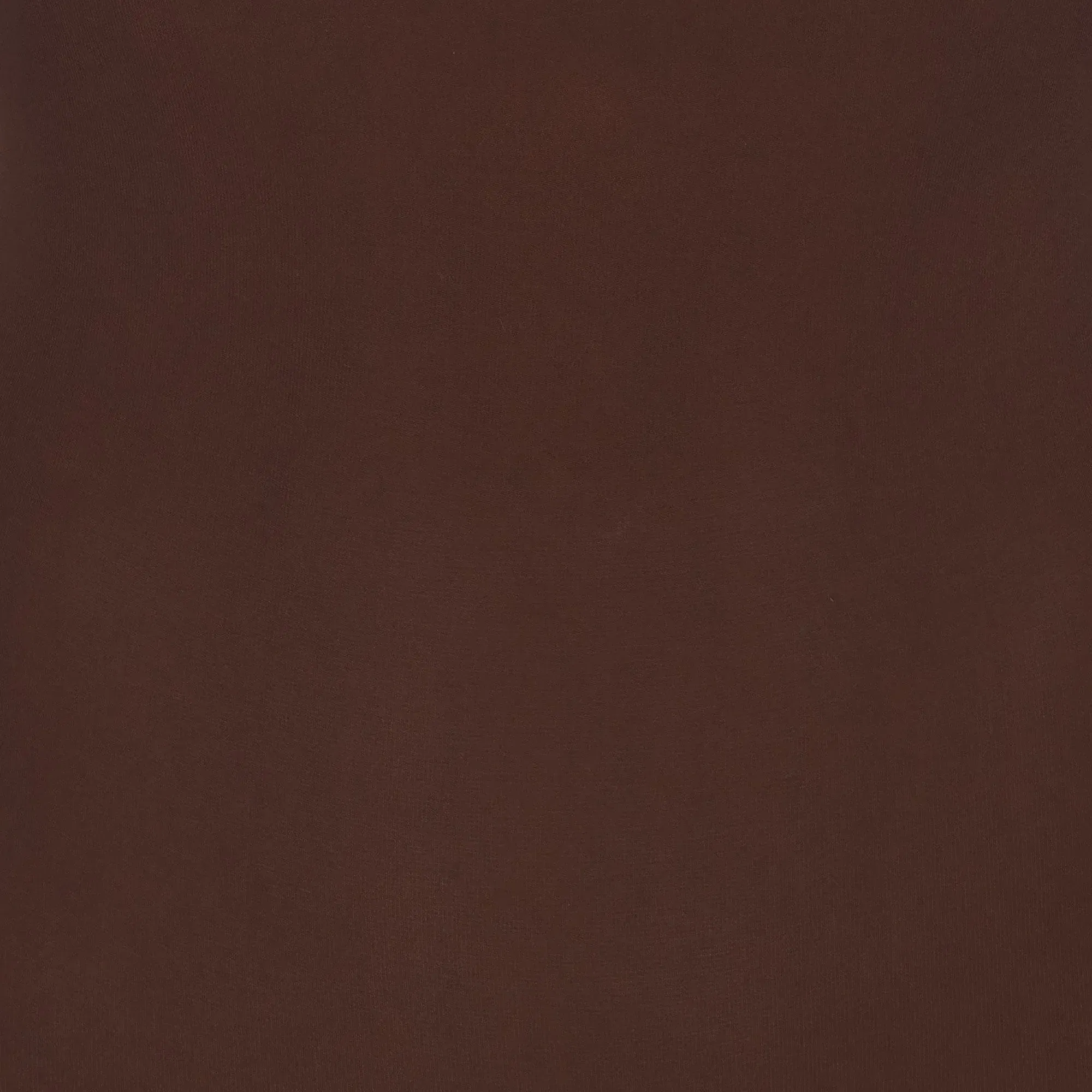 Skims Everyday Sculpt Bodysuit Cocoa