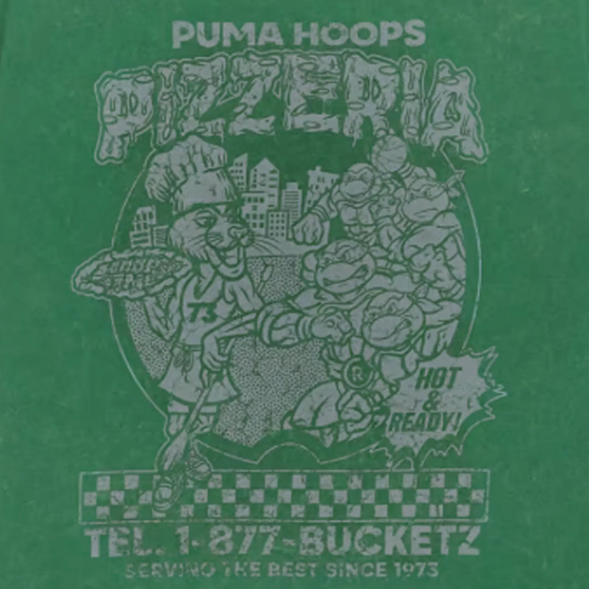 PUMA HOOPS x TMNT T-Shirt { VINE