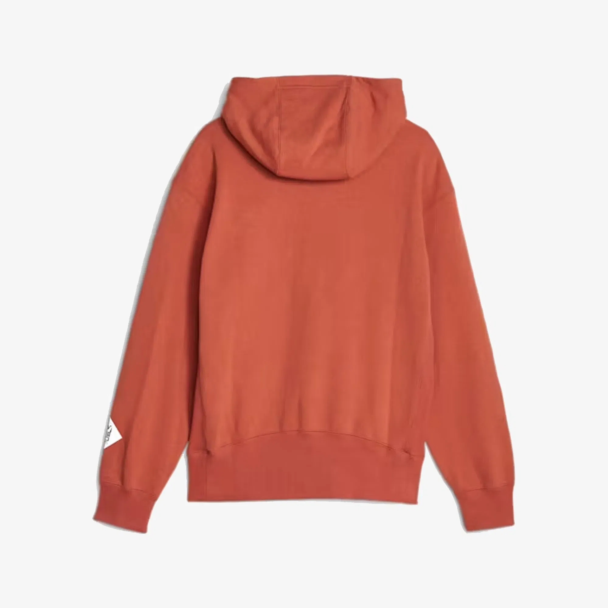 Puma PERKS AND MINI GRAPHIC HOODIE { APPLE CIDER
