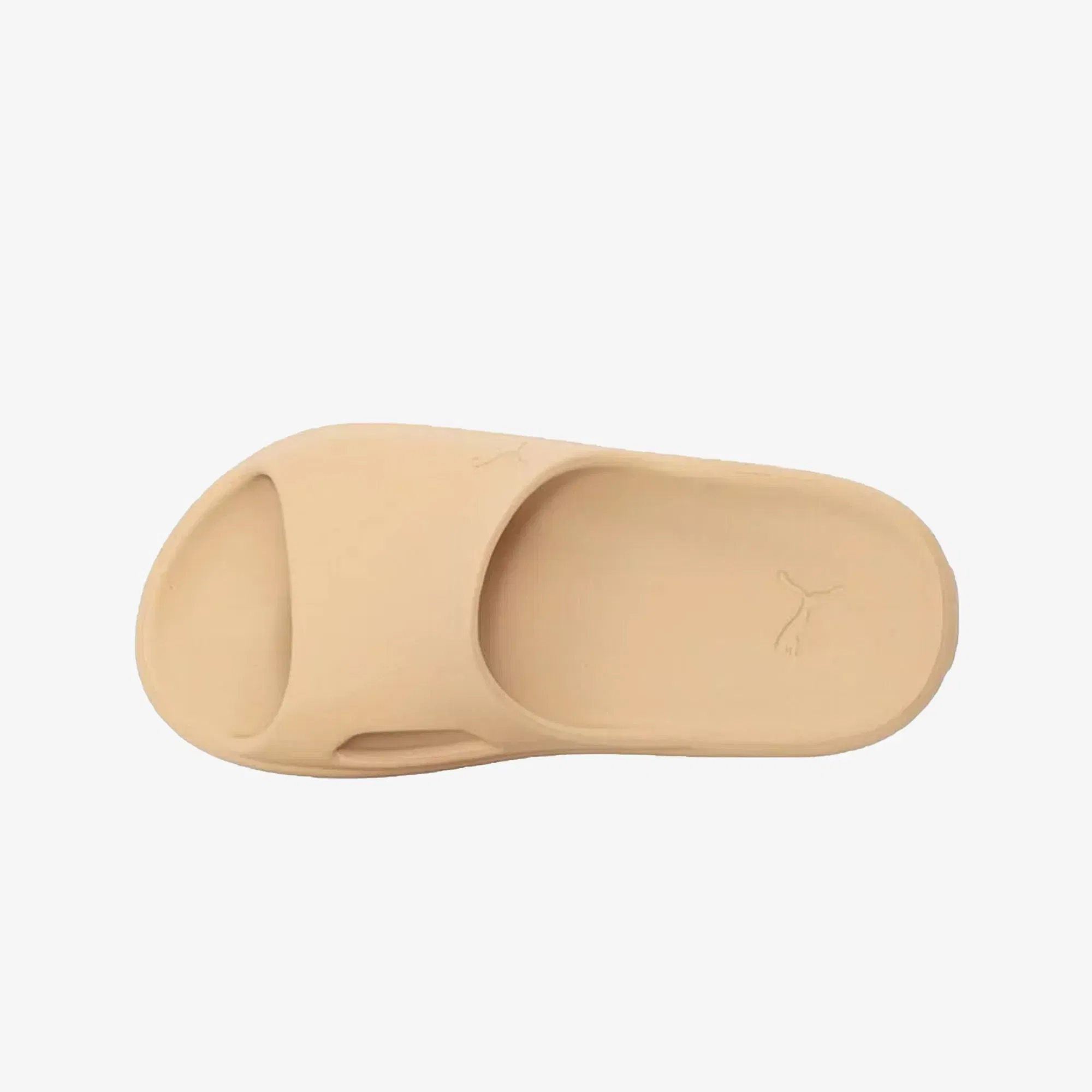 Puma SHIBUI CAT { LIGHT SAND