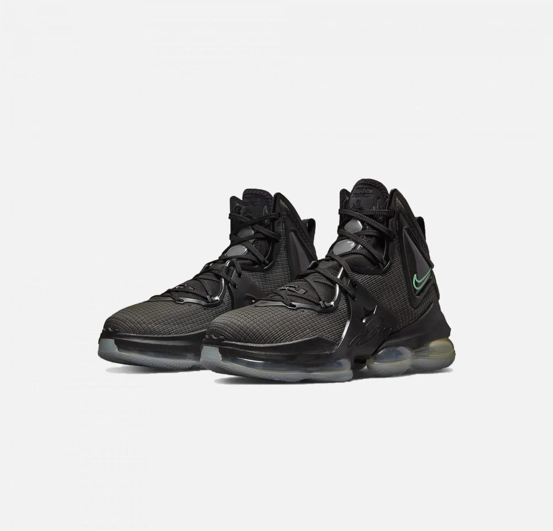 Nike LEBRON 19 { ANTHRACITE / GREEN GLOW