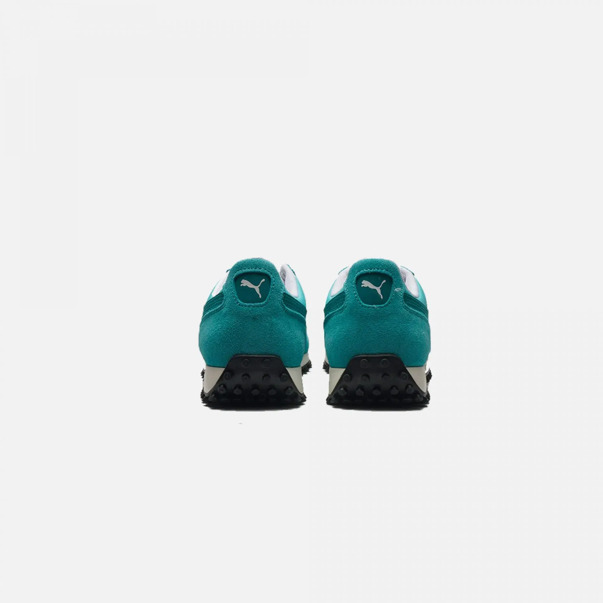 Puma EASY RIDER II ELEKTRO POOL