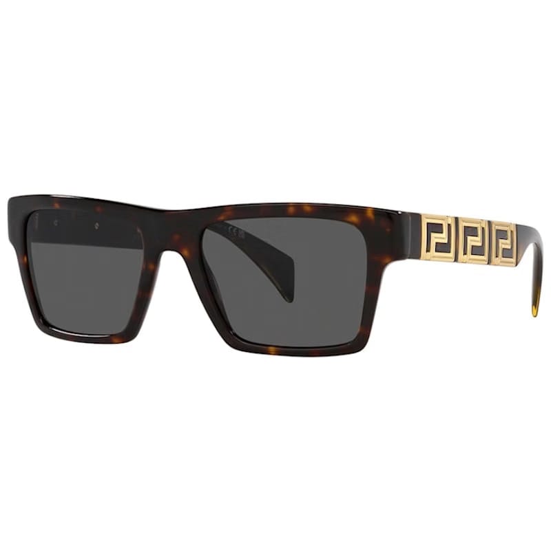 Versace Rectangular Mens Sunglasses Tortise VE4445F-108-87-54)
