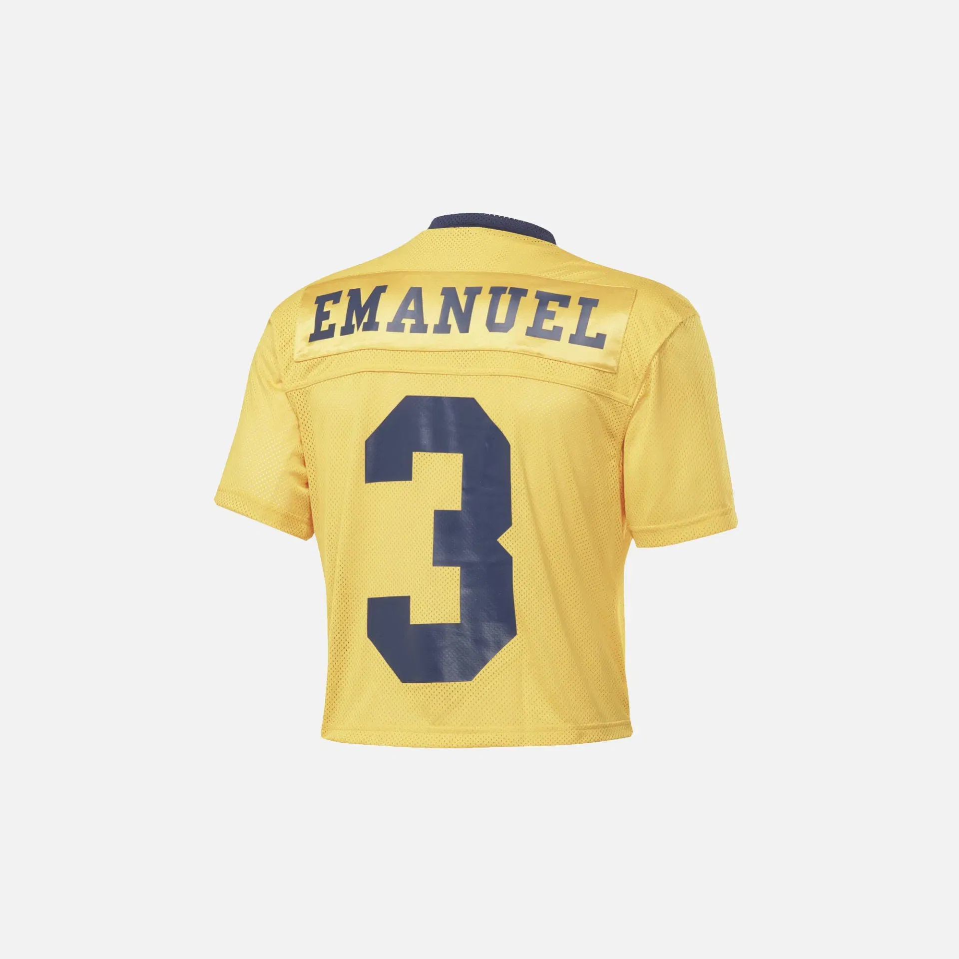 Reebok CL ERIC EMANUEL CROP JERSEY