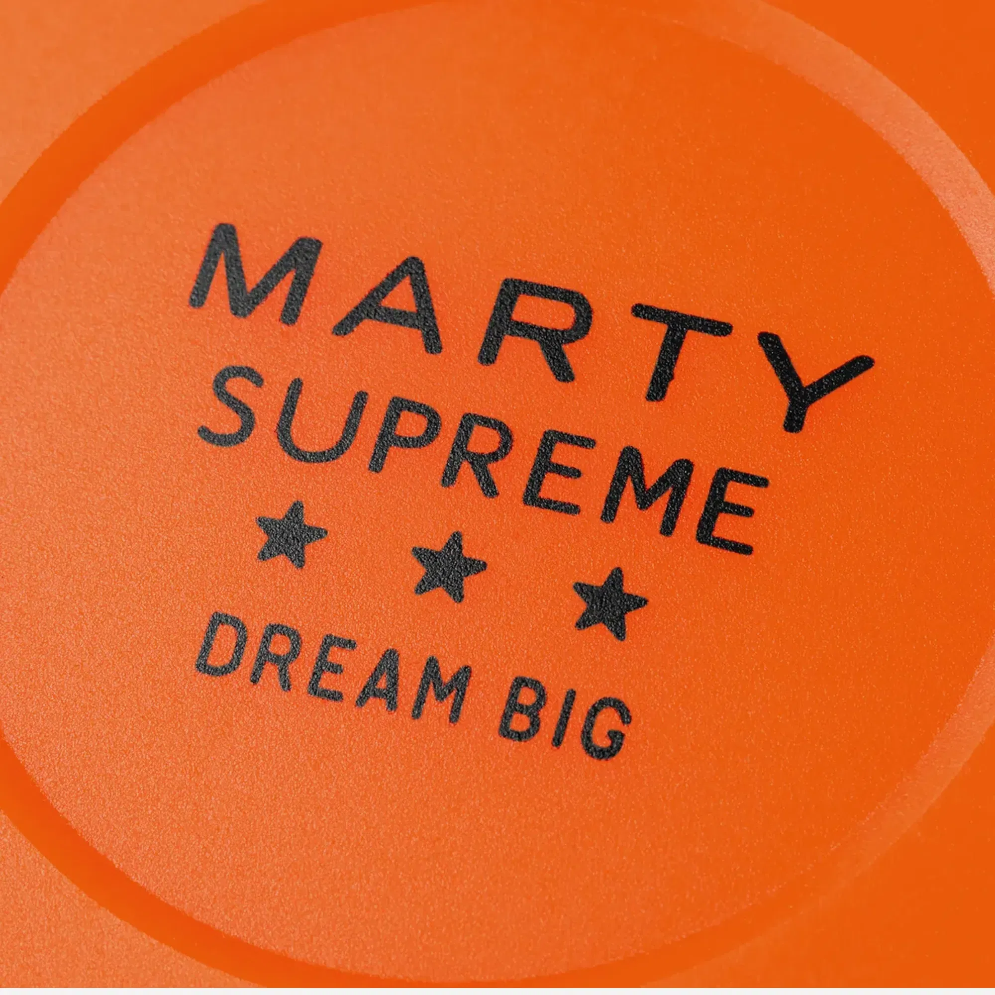 Marty Supreme Hockey Puck