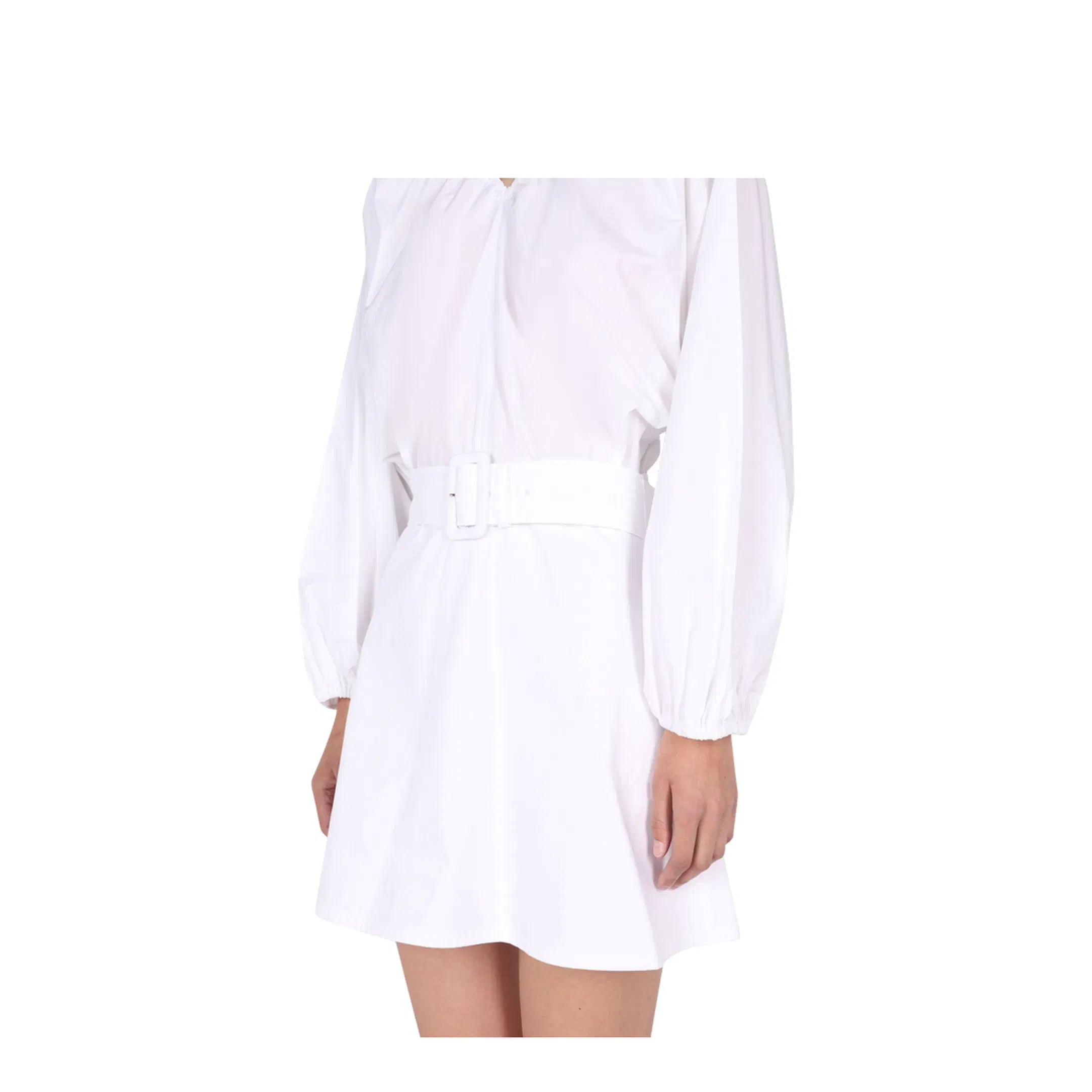 Balloon Sleeves Dress